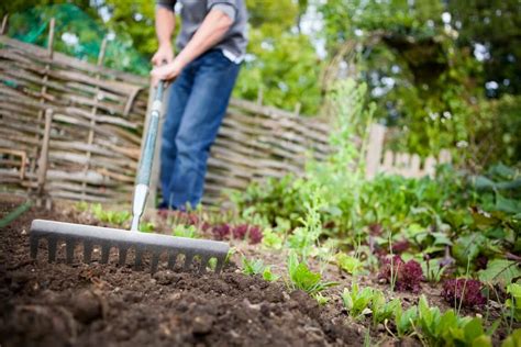 Prepare the soil for flower garden